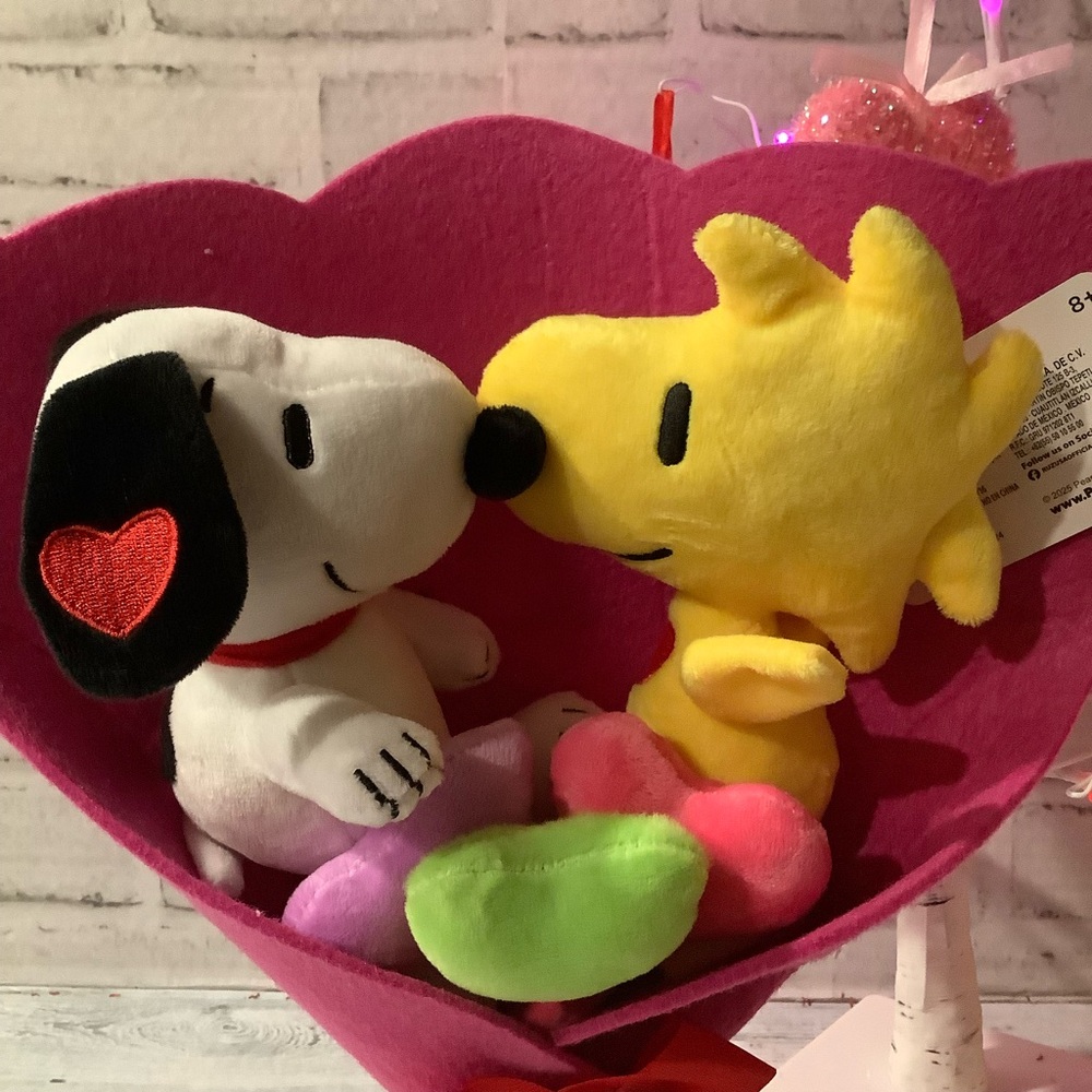 Snoopy & Woodstock Plush Gift Valentine Bouquet - Picture 3 of 5